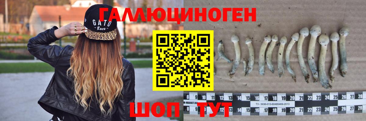 Псилоцибиновые грибы Magic Shrooms Кунгур